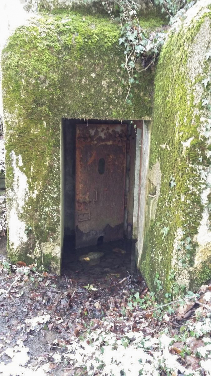 Ligne Maginot - DB16 - (Blockhaus pour arme infanterie) -  - Jeremy ROUX 