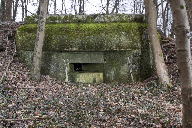 Ligne Maginot - DB16 - (Blockhaus pour arme infanterie) -  - www.arnaultjl-photo.com
