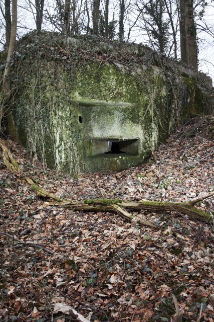 Ligne Maginot - DB16 - (Blockhaus pour arme infanterie) -  - www.arnaultjl-photo.com