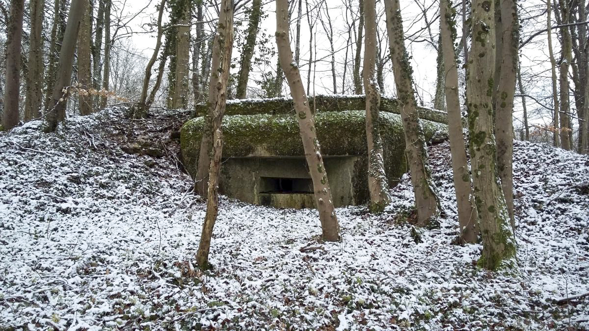 Ligne Maginot - DB16 - (Blockhaus pour arme infanterie) -  - Jeremy ROUX 
