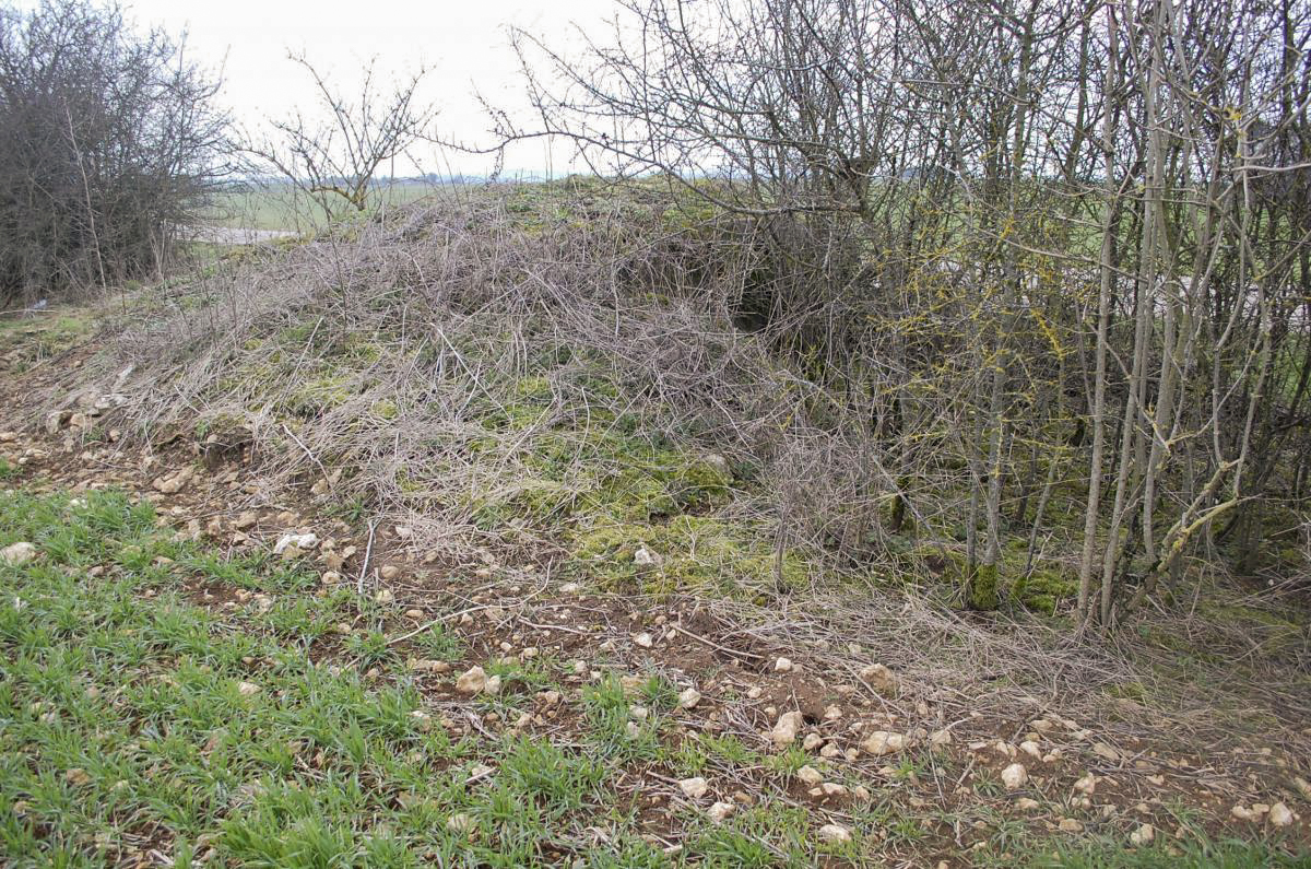 Ligne Maginot - DB18-D - FOND TOURNA - (Blockhaus pour arme infanterie) - Vue arrière
Depuis le terrain derrière l'ouvrage il est difficile de reconnaître une construction dans ce fouillis de branchages - Christian RICHON/Devoitine520