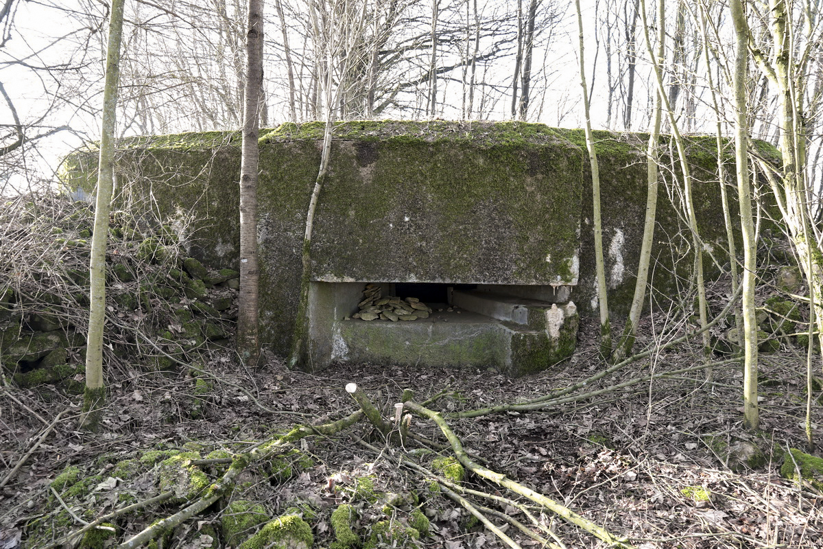 Ligne Maginot - DB20 - (Blockhaus pour canon) - Vue frontale - Alain Perouffe