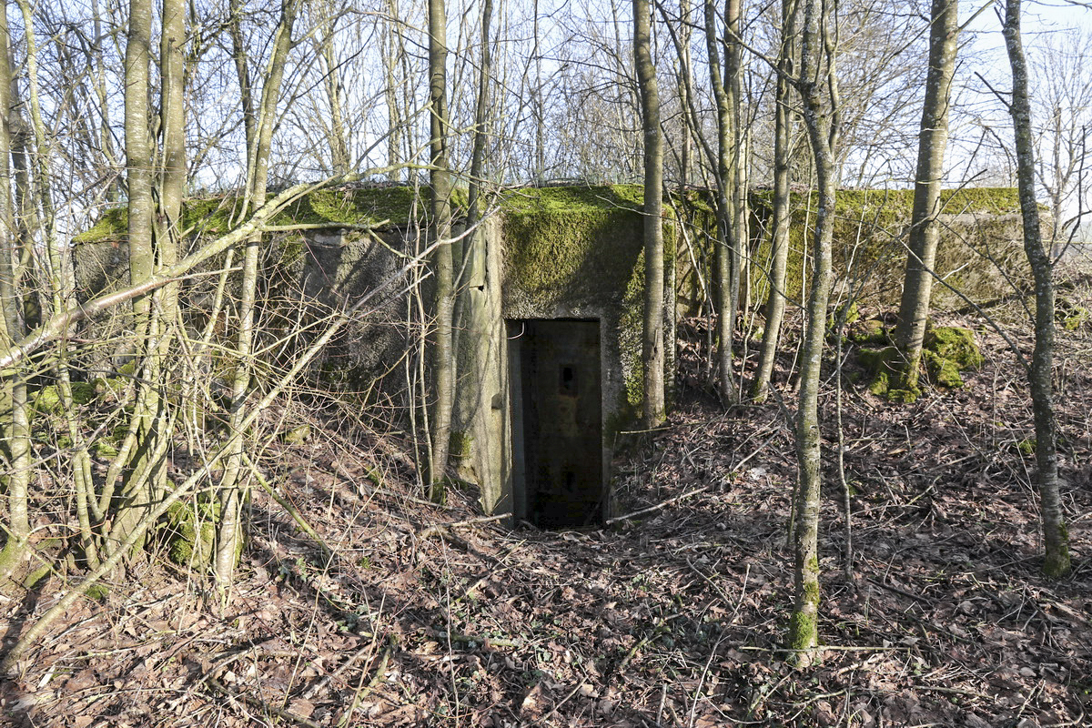 Ligne Maginot - DB20 - (Blockhaus pour canon) - Face arrière - Alain Perouffe