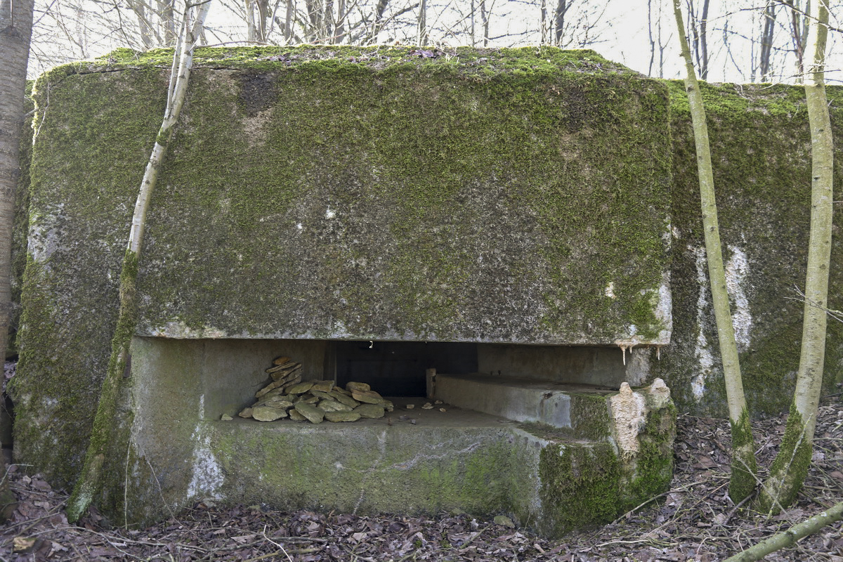 Ligne Maginot - DB20 - (Blockhaus pour canon) - Créneau canon - Alain Perouffe