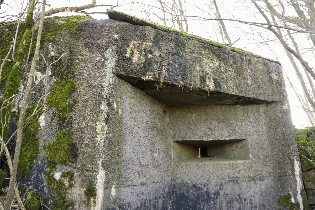 Ligne Maginot - DB20 - (Blockhaus pour canon) - Créneau mitrailleuse - Alain Perouffe