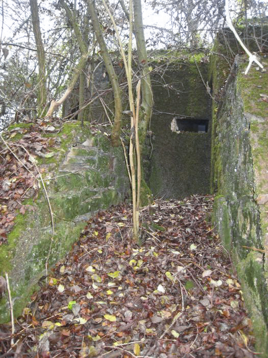 Ligne Maginot - DB19 - (Blockhaus pour arme infanterie) -  - Pruzsina jerome