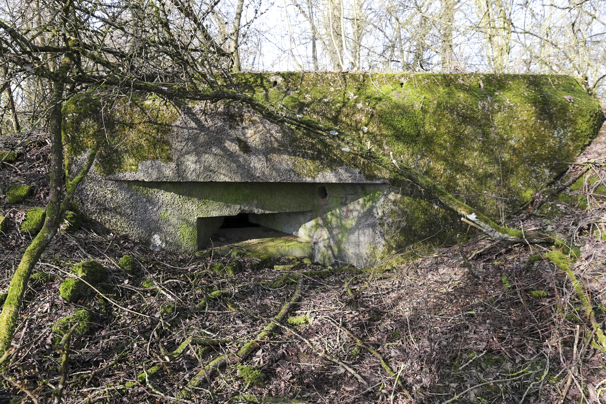 Ligne Maginot - DB19 - (Blockhaus pour arme infanterie) - Créneau sud - Alain Perouffe