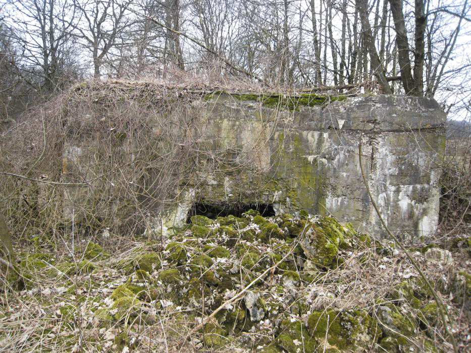 Ligne Maginot - DB207 - (Blockhaus pour canon) -  - Pruzsina jerome