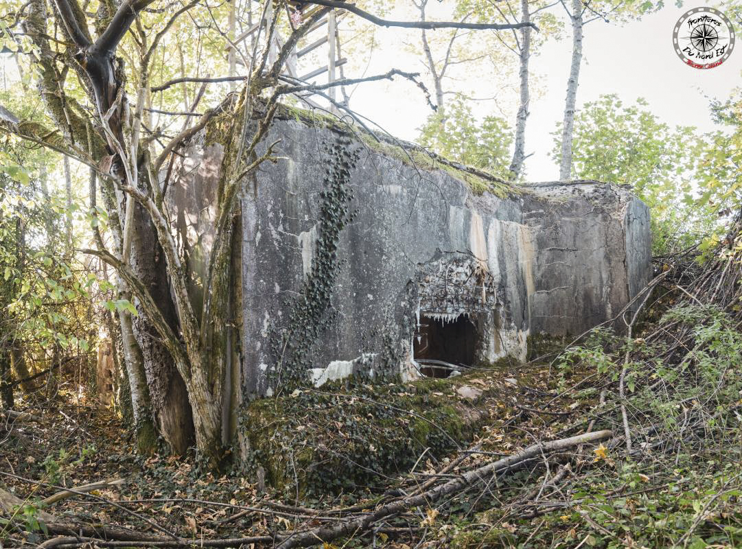 Ligne Maginot - DB208 - (Blockhaus pour canon) -   - Thierry Caland