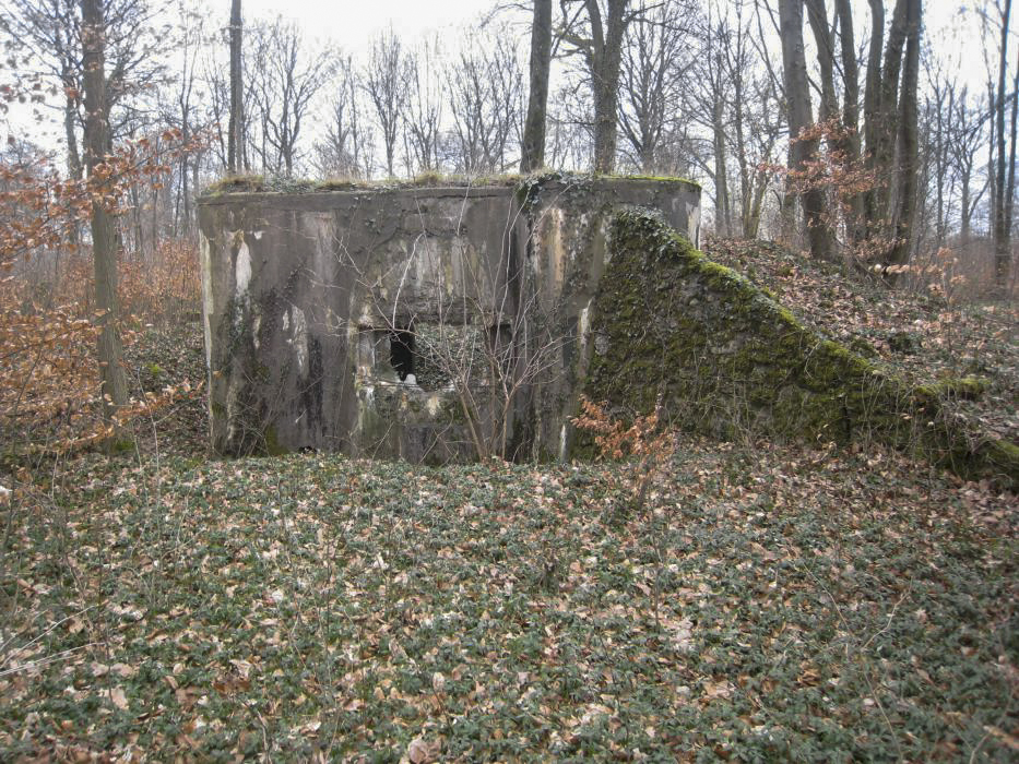 Ligne Maginot - DB209 - (Blockhaus pour canon) -  - Pruzsina jerome