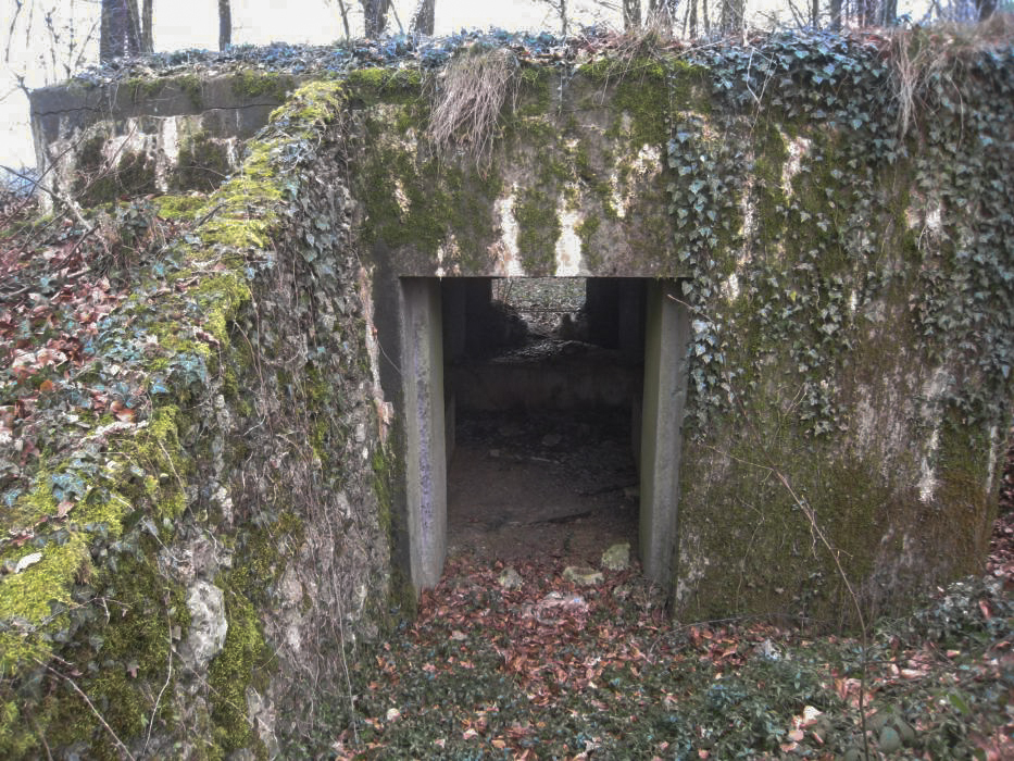 Ligne Maginot - DB209 - (Blockhaus pour canon) -  - Pruzsina jerome