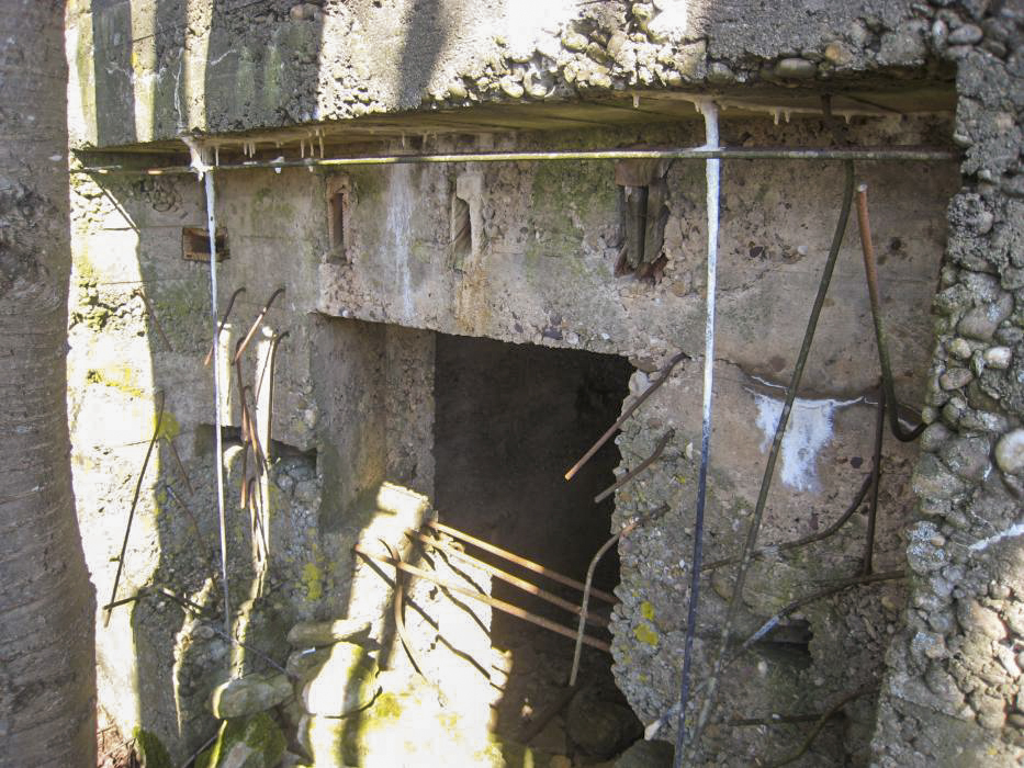 Ligne Maginot - DB227 - (Blockhaus pour canon) -  - Pruzsina jerome