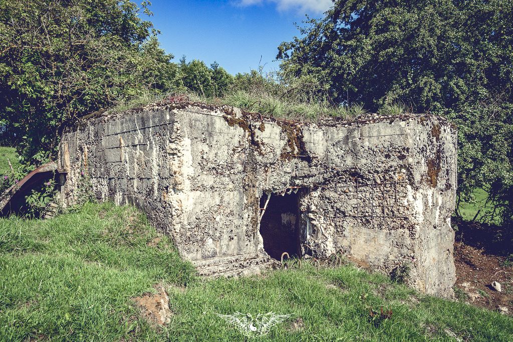 Ligne Maginot - DB246 - HAUT DE LA VIGNE - (Blockhaus pour arme infanterie) -  - Thierry Caland