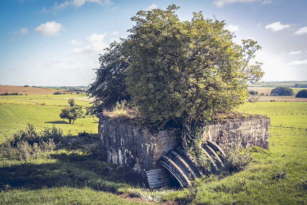 Ligne Maginot - DB246 - HAUT DE LA VIGNE - (Blockhaus pour arme infanterie) -  - Thierry Caland