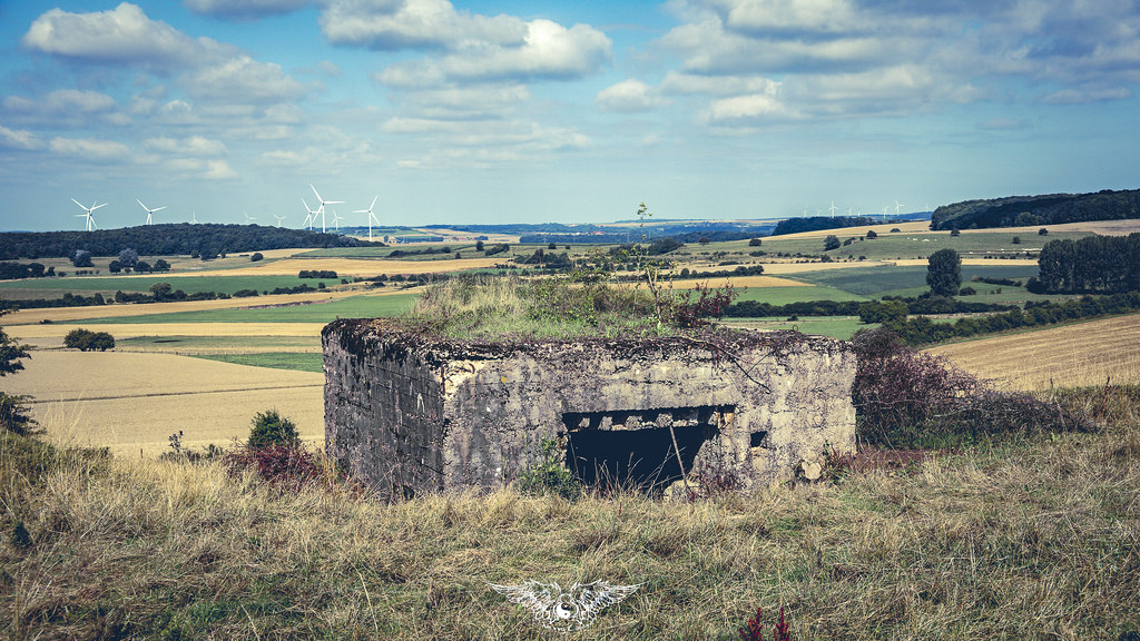 Ligne Maginot - DB252 - HAUT DE LA VIGNE NORD - (Blockhaus pour canon) -  - Thierry Caland