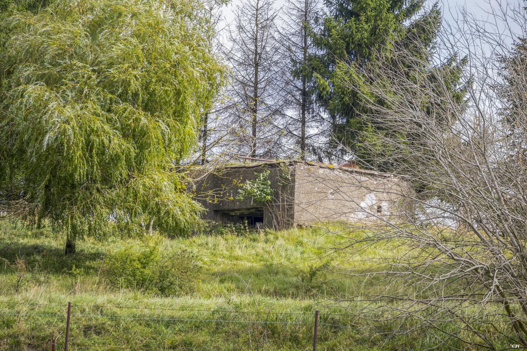 Ligne Maginot - DB254 - BASLIEUX NORD 1 - (Blockhaus pour canon) -  - Lia VERMEULEN