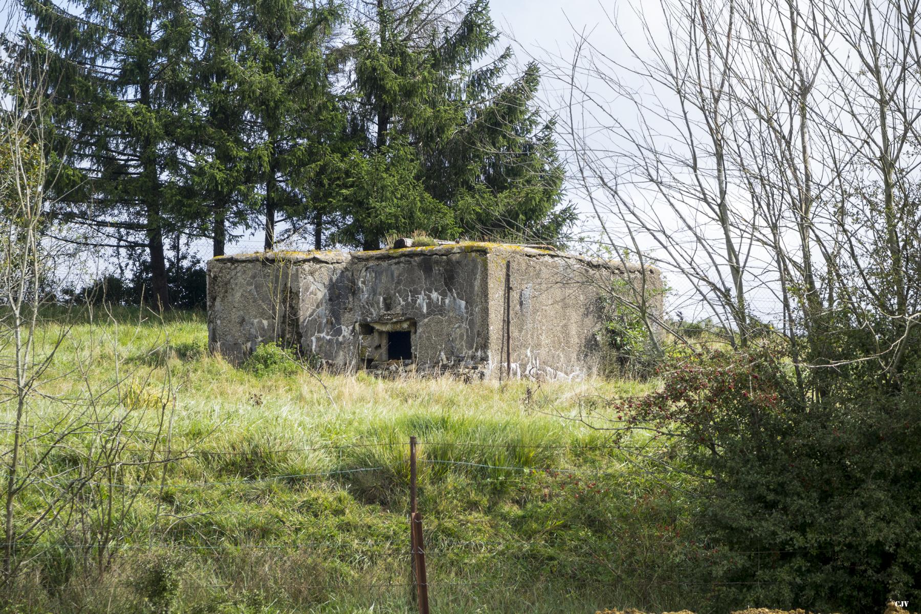 Ligne Maginot - DB255 - BASLIEUX NORD 2 - (Blockhaus pour arme infanterie) -  - Lia VERMEULEN