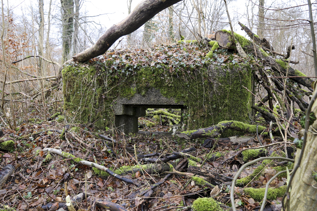 Ligne Maginot - DBO2 - (Blockhaus pour canon) -  - Alain Perouffe