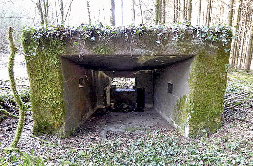 Ligne Maginot - DBO3 - (Blockhaus pour canon) -   - Sylvie Laure LAMBERT