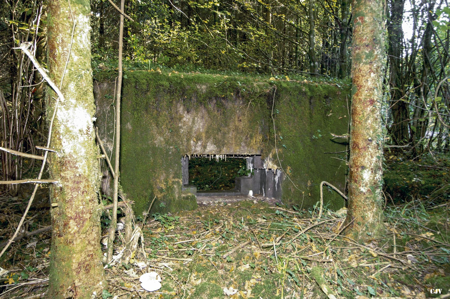 Ligne Maginot - DBO3 - (Blockhaus pour canon) -  - Lia VERMEULEN