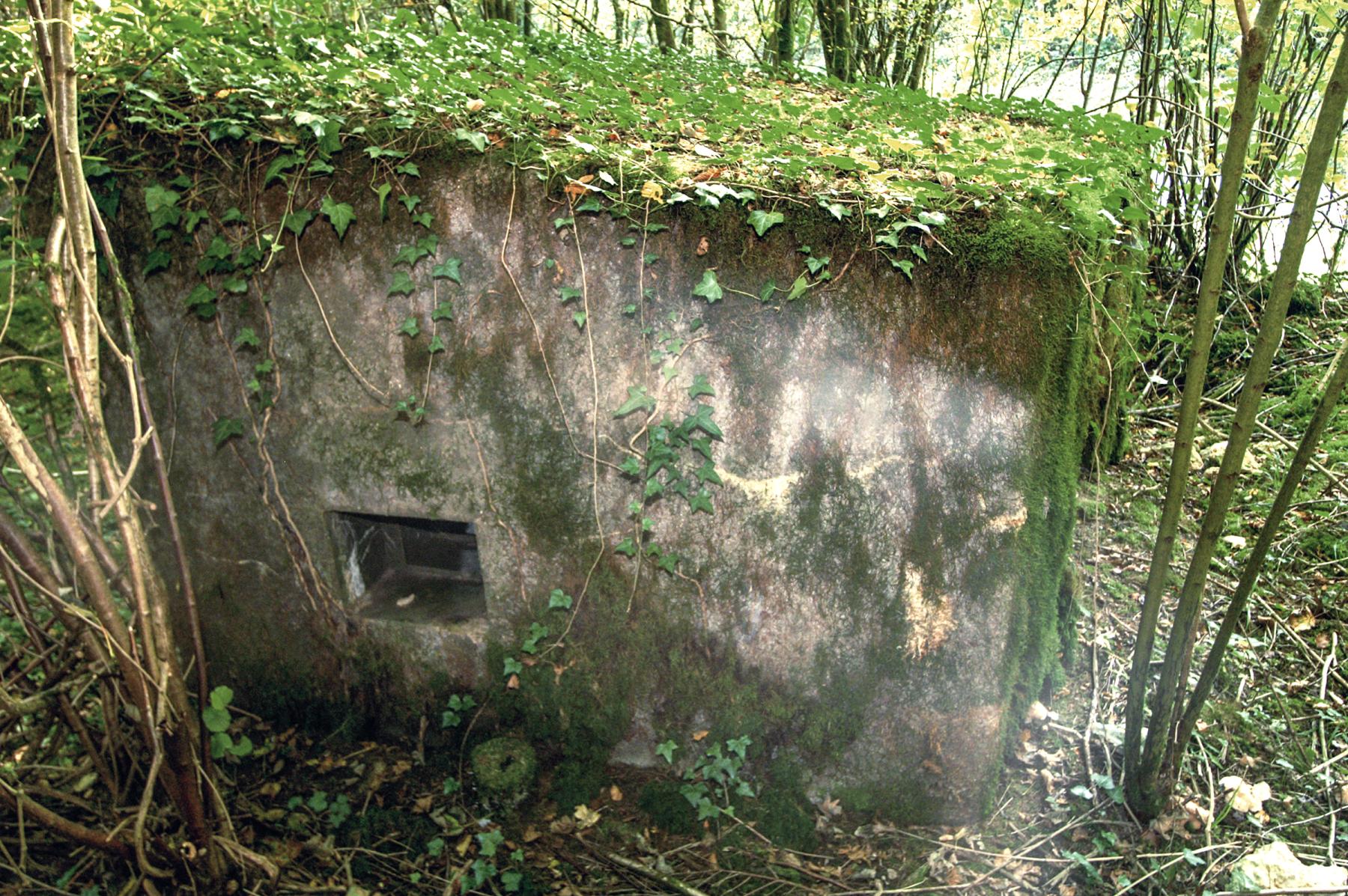 Ligne Maginot - DBO3 - (Blockhaus pour canon) -  - Lia VERMEULEN