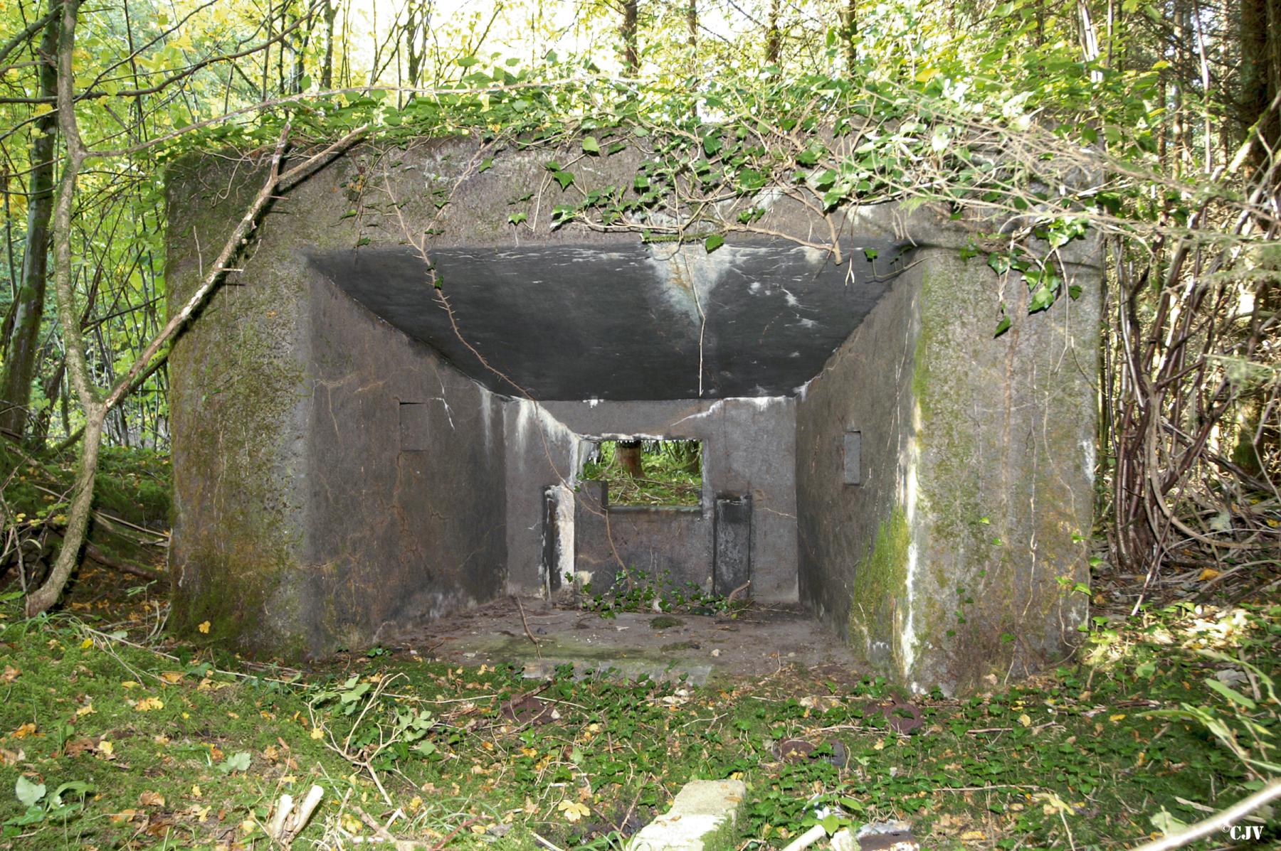 Ligne Maginot - DBO3 - (Blockhaus pour canon) -  - Lia VERMEULEN