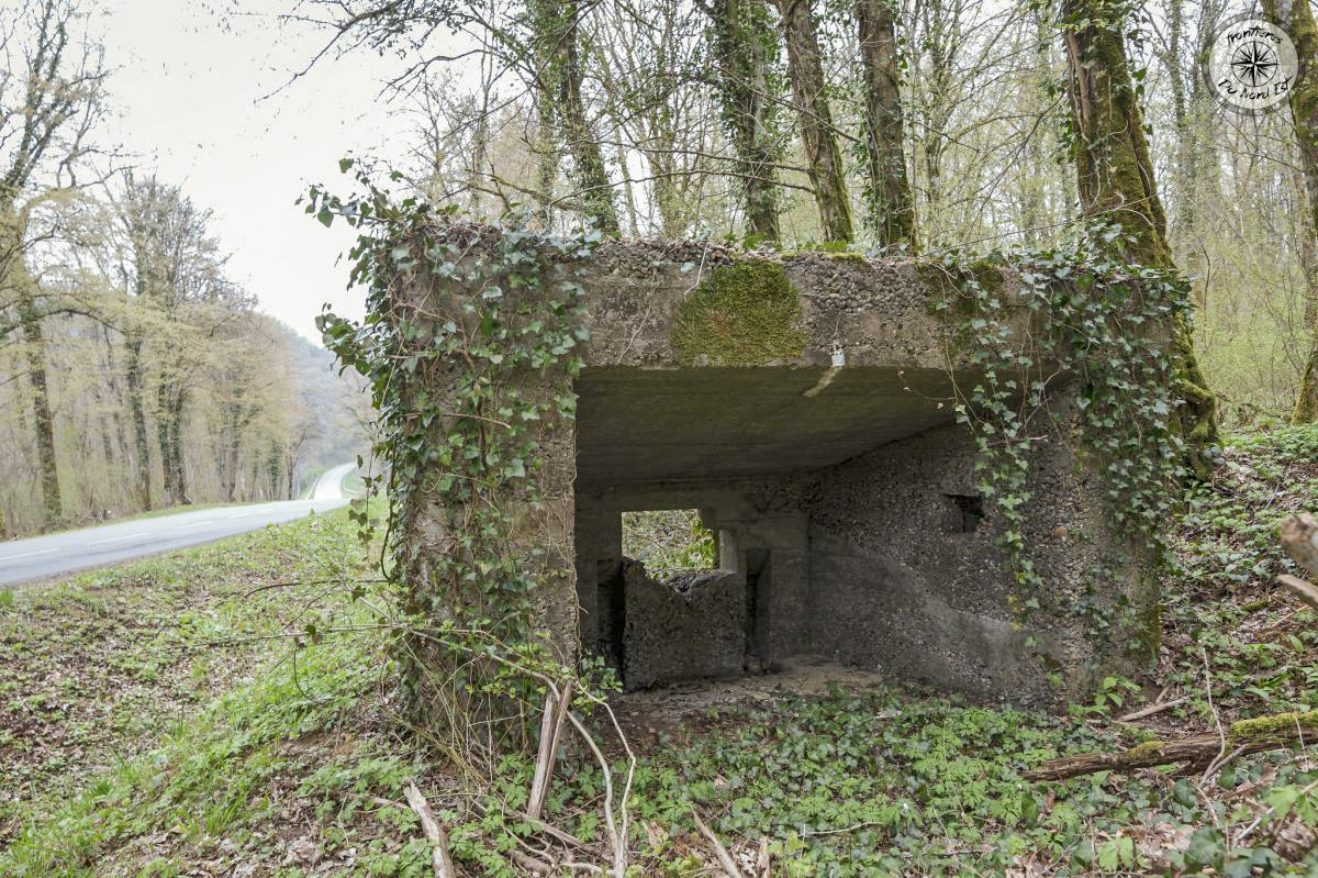 Ligne Maginot - DBO4 - (Blockhaus pour canon) -  Vue arrière - CALAND Thierry