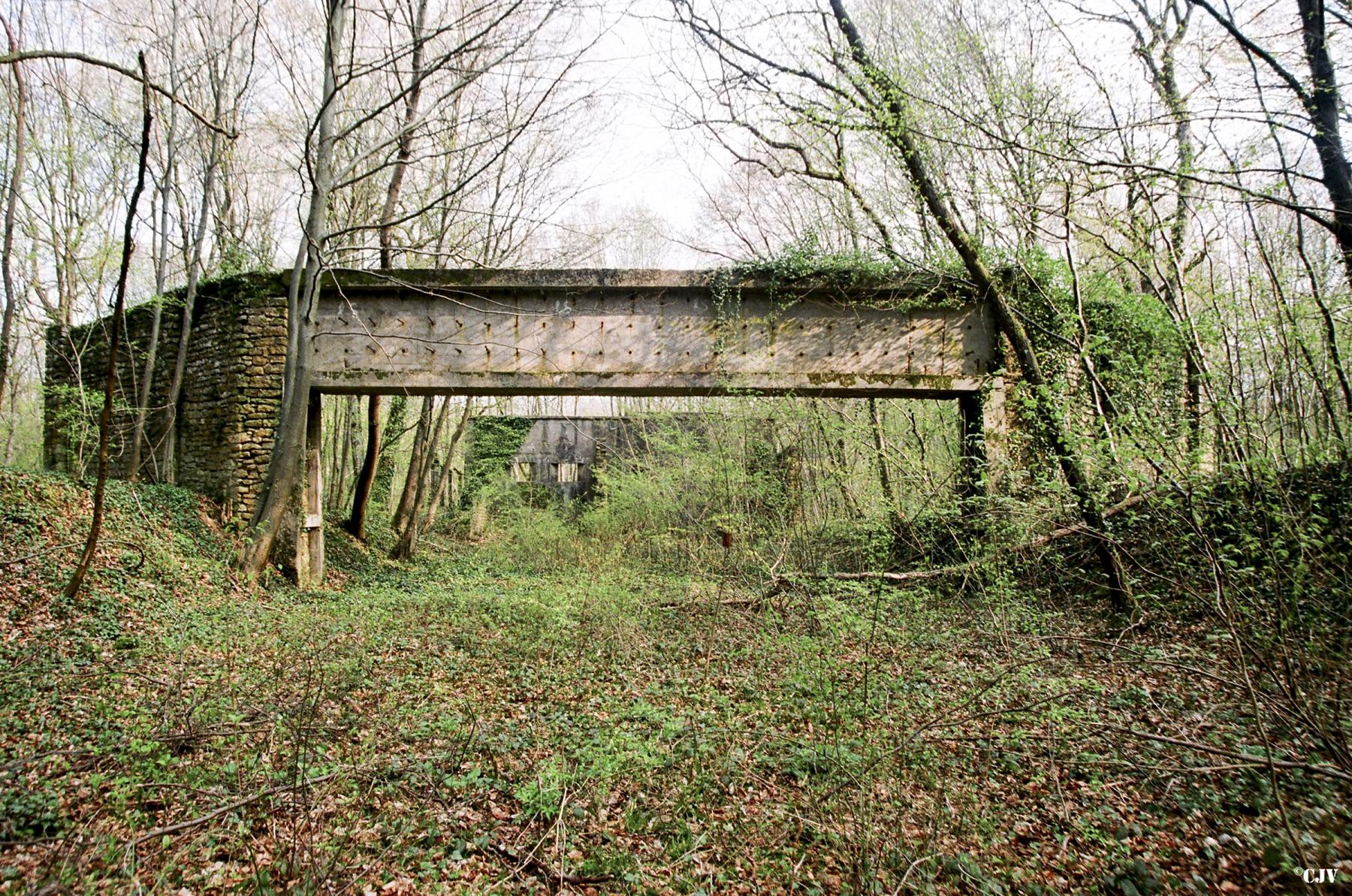Ligne Maginot - MORFONTAINE - (Stand de tir) -  - Lia VERMEULEN