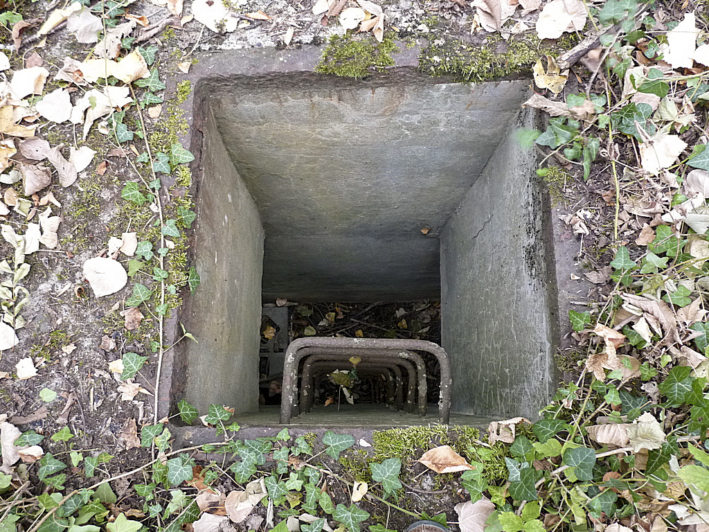 Ligne Maginot - DT20B - (Cuve pour arme d'infanterie) -  - Sylvie Laure LAMBERT