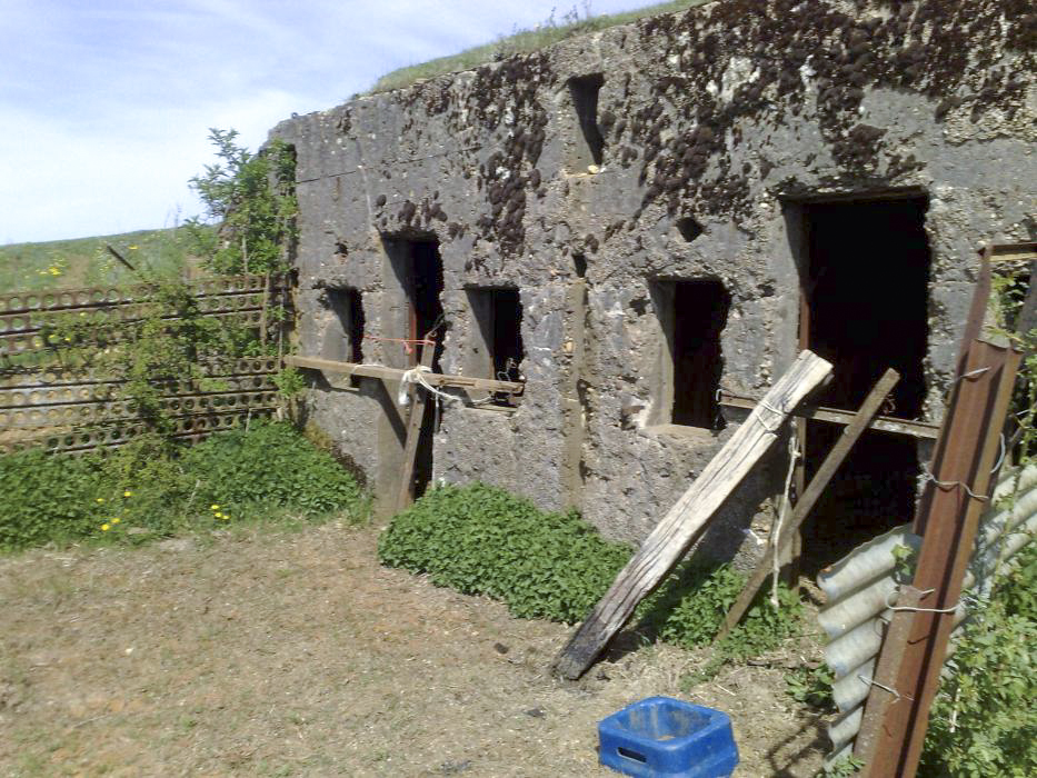 Ligne Maginot - HAUT de la VIGNE Ouest - (PC) -  - Pruzsina Jerome
