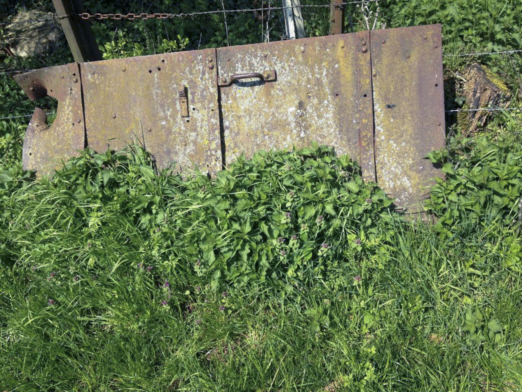 Ligne Maginot - JOPPECOURT - (Central téléphonique isolé) - La porte du central - Pascal MALLET