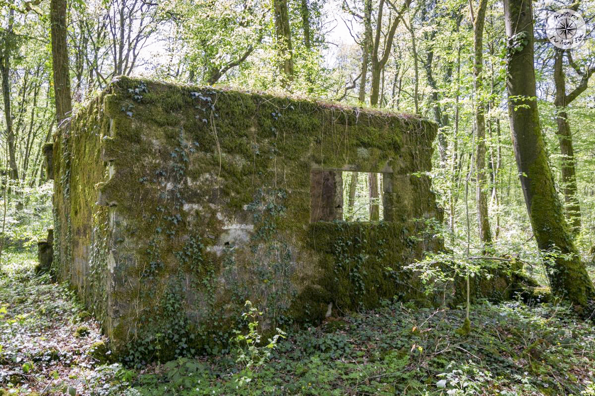 Ligne Maginot - JOPPECOURT - (Depot du Génie) -           - Thierry Caland