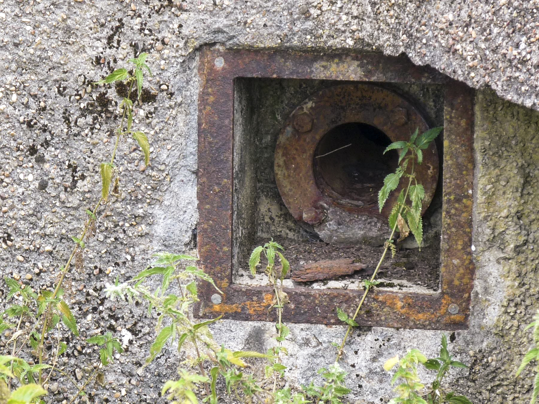 Ligne Maginot - LES HARGOLETS - (Central téléphonique d'observation) - Prise d'air  - Sylvie Laure LAMBERT