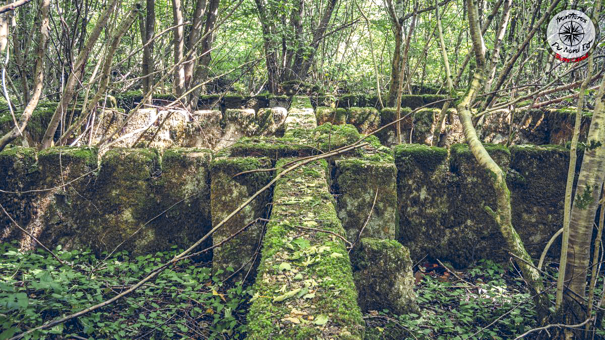 Ligne Maginot - MAUVAIS BOIS - (Casernement) - Les soubassements d'un bâtiment - Thierry Caland