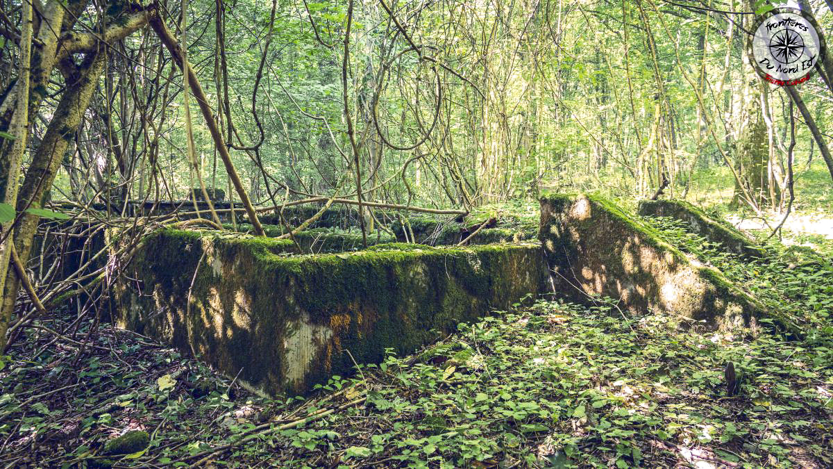 Ligne Maginot - MAUVAIS BOIS - (Casernement) - Les soubassements d'un bâtiment - Thierry Caland