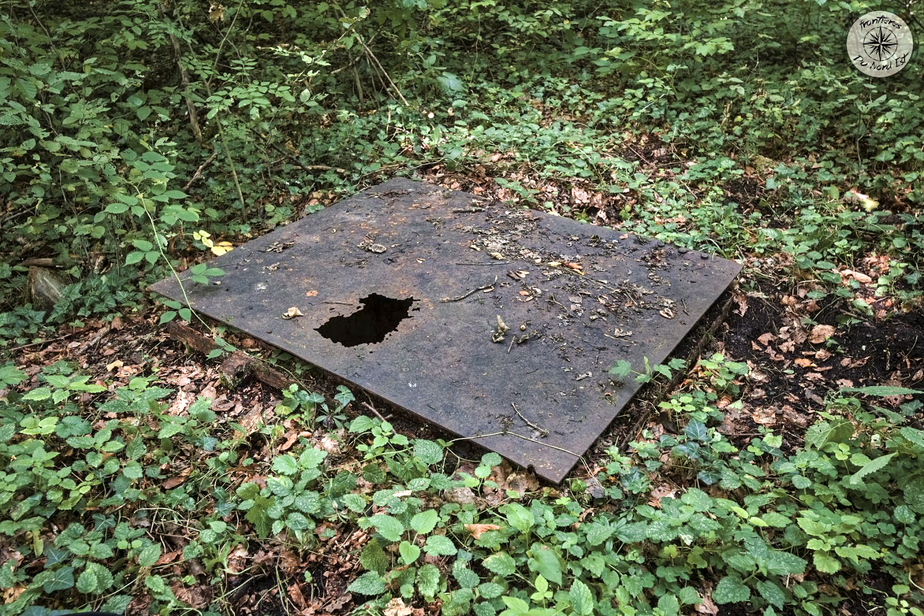 Ligne Maginot - 17LBIS - (Chambre de coupure) -  - Thierry Caland