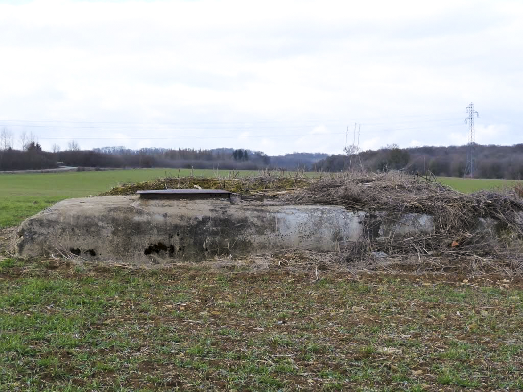 Ligne Maginot - 52T - (Chambre de coupure) -  - Sylvie Laure LAMBERT