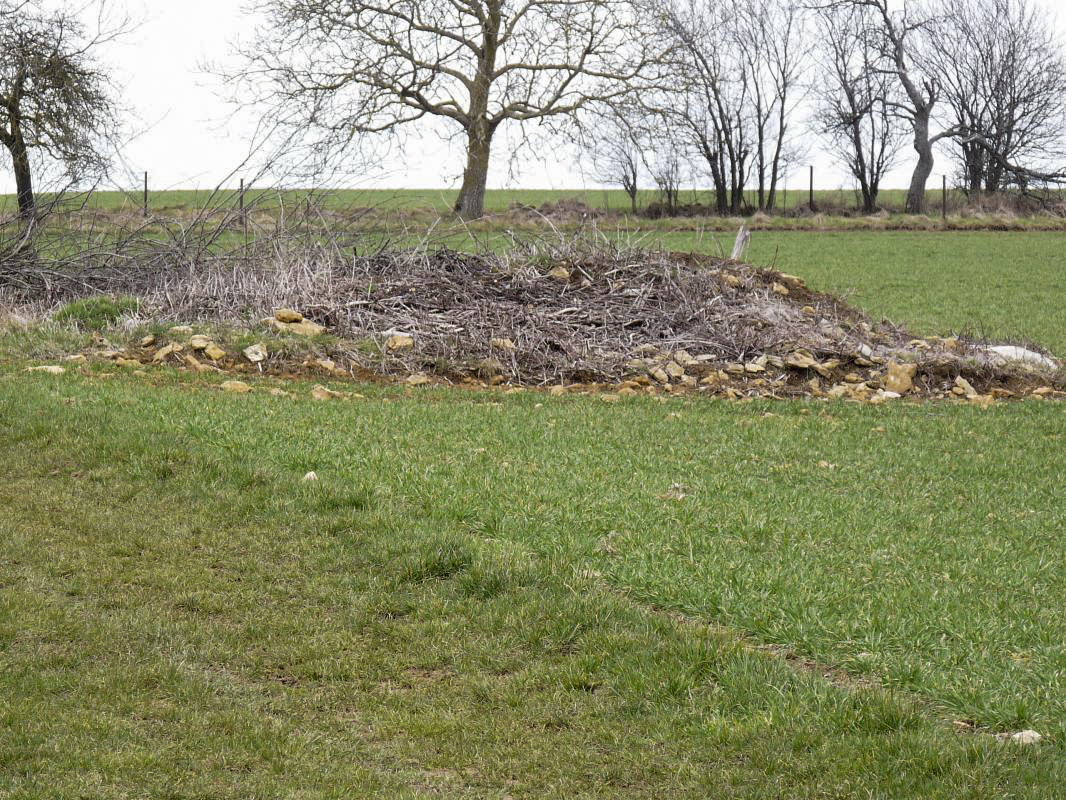 Ligne Maginot - 57L - (Chambre de coupure) - L'emplacement de la chambre de coupure, noyée sous les gravats - Sylvie Laure LAMBERT