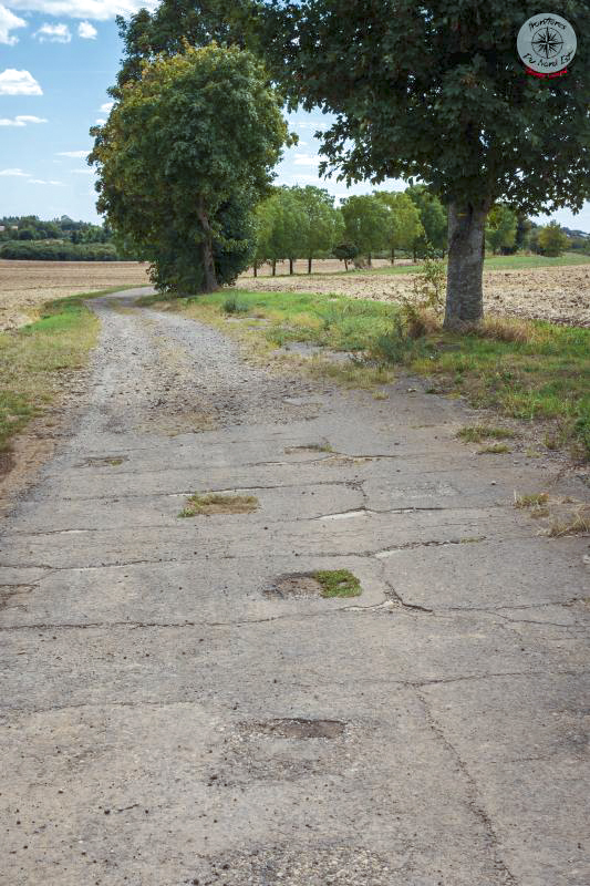 Ligne Maginot - 109 - (Barrage de Route) -   - Thierry Caland