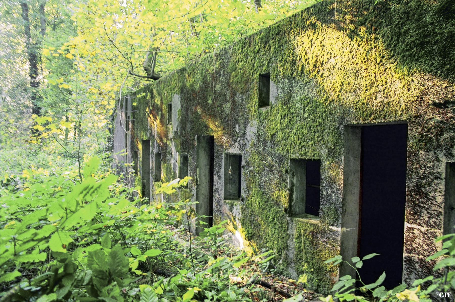 Ligne Maginot - BOIS de BEUVILLERS (Quartier Aumetz - II/128°RIF) (PC de Quartier) -  - Lia VERMEULEN