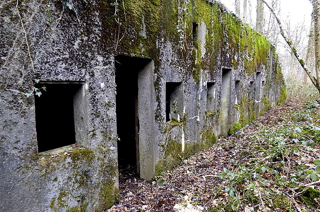 Ligne Maginot - BOIS DE BEUVILLERS (II128°RIF - QUARTIER AUMETZ) - (PC de Quartier) -  - Sylvie Laure LAMBERT