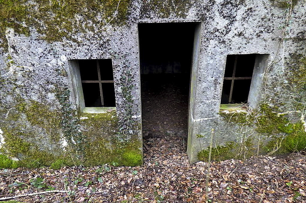 Ligne Maginot - BOIS DE BEUVILLERS (II128°RIF - QUARTIER AUMETZ) - (PC de Quartier) -  - Sylvie Laure LAMBERT