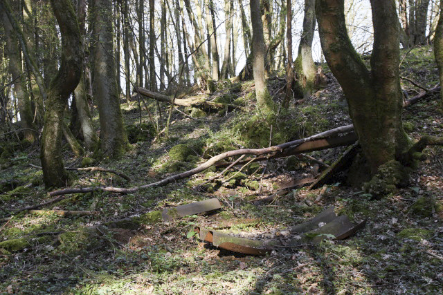 Ligne Maginot - BOIS DE CRUSNES - (Abri) -  - www.arnaultjl-photo.com