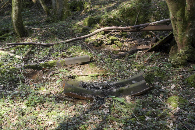 Ligne Maginot - BOIS DE CRUSNES - (Abri) -  - www.arnaultjl-photo.com