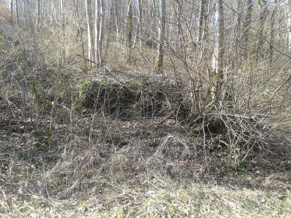 Ligne Maginot - DBO1 - (Blockhaus pour canon) - A peine plus visible a la morte saison le jour du printemps - Christian RICHON/devoitine520