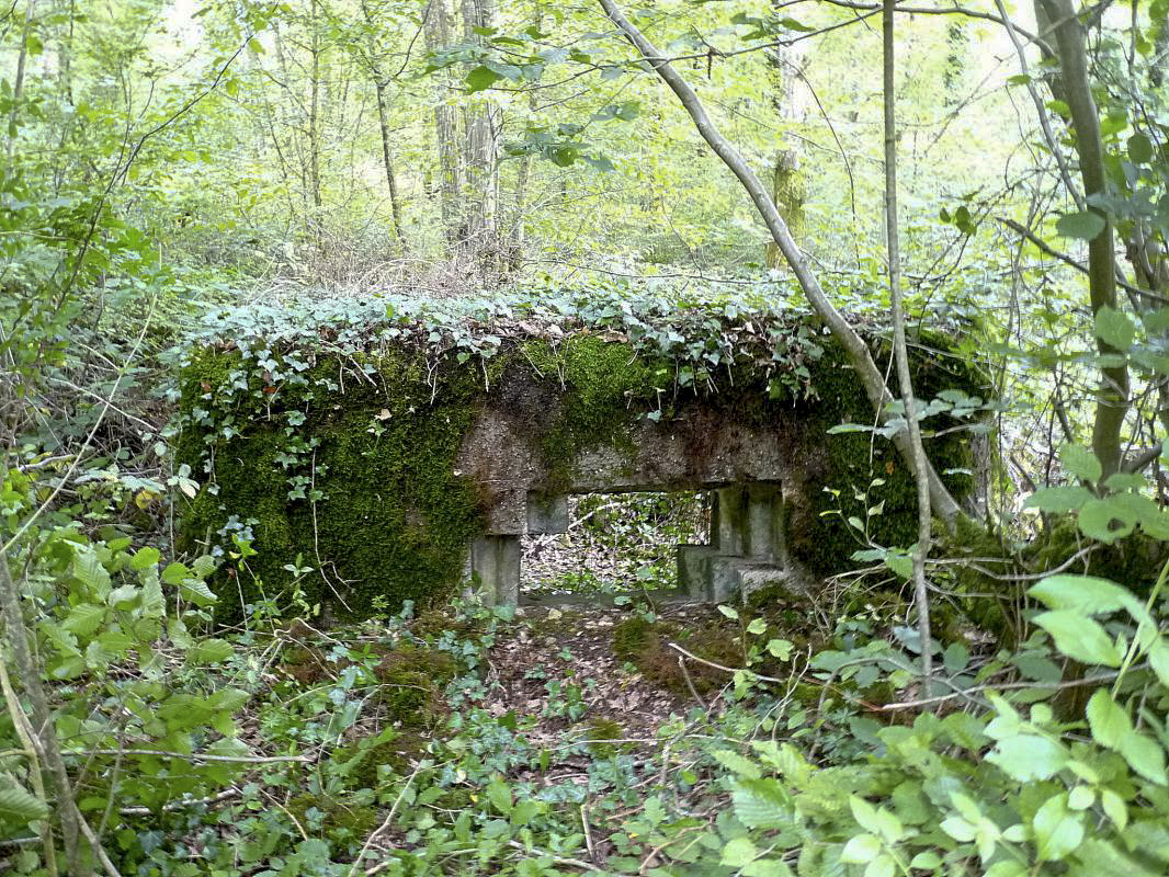 Ligne Maginot - DBO1 - (Blockhaus pour canon) -  - Sylvie Laure LAMBERT