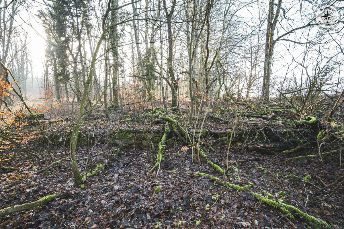 Ligne Maginot - GRAMESGRUND - (Casernement) -           - Thierry Caland