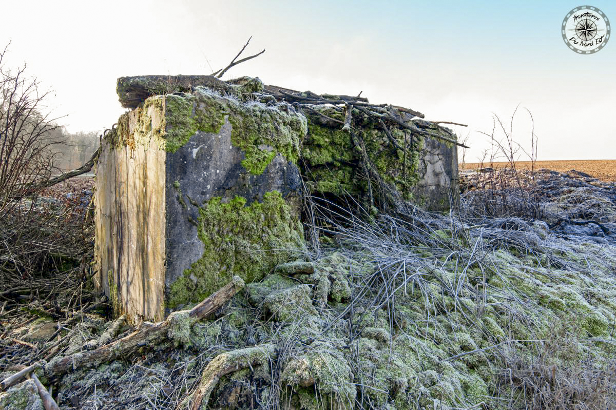 Ligne Maginot - GRAMESGRUND 2 - (Blockhaus pour arme infanterie) -     - Thierry Caland