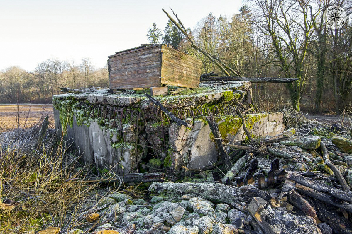 Ligne Maginot - GRAMESGRUND 2 - (Blockhaus pour arme infanterie) -       - Thierry Caland