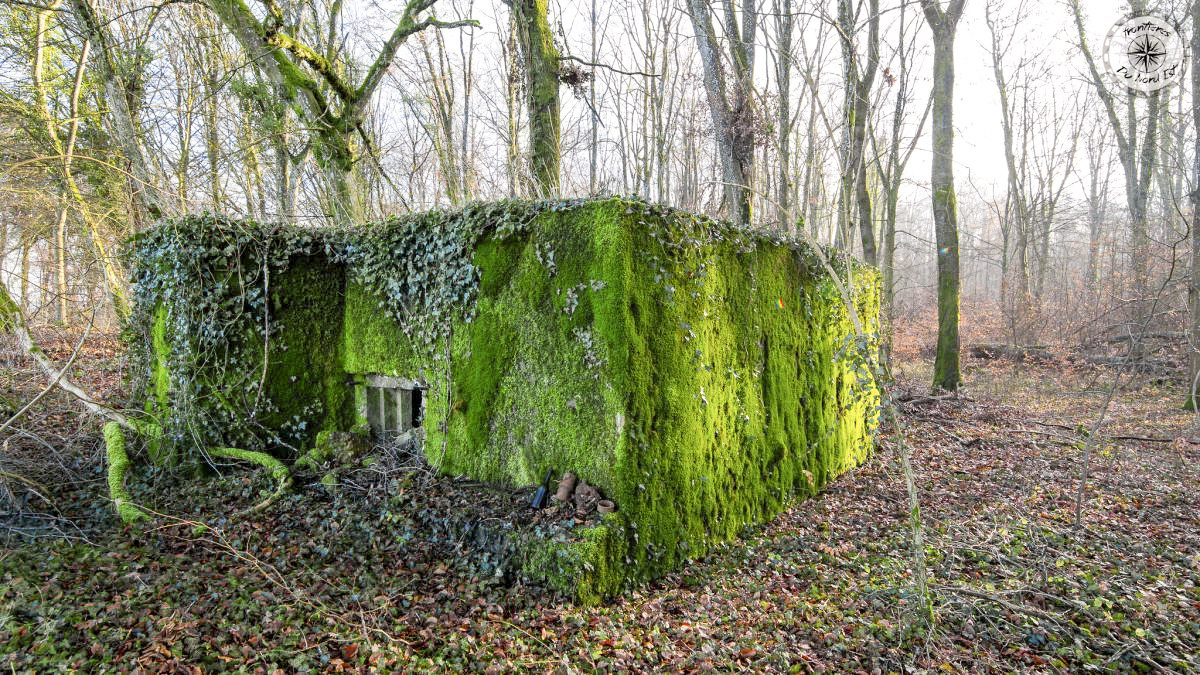 Ligne Maginot - LA FOULCETTE - (Blockhaus pour arme infanterie) -               - Thierry Caland
